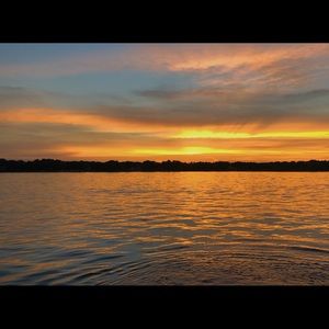 Meet your Posher, Anne